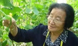 恐丑的娱乐吃瓜人的微博,娱乐八卦背后的真相与笑料